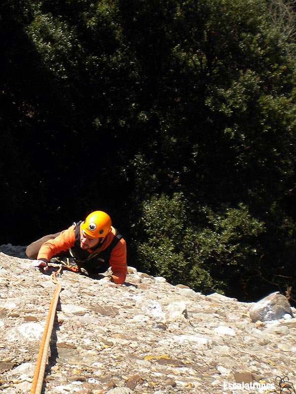 Antològica primera tirada